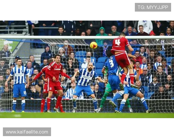 凯发直播体育：多元化体育内容覆盖满足不同用户需求