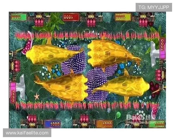 金鲨银鲨游戏中的隐藏技巧与秘籍揭秘提升你的胜率和收益 金鲨银鲨游戏中的隐藏技巧与秘籍揭秘提升你的胜率和收益